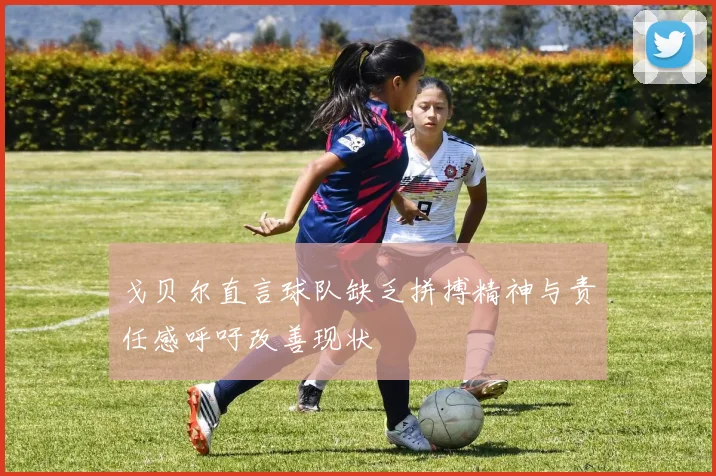 戈贝尔直言球队缺乏拼搏精神与责任感呼吁改善现状